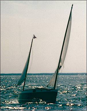 micro24.jpg (23886 bytes)